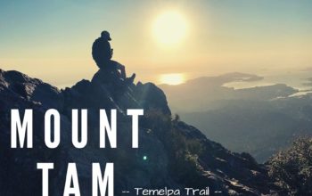 YouTube | Bro Trip Run Up Mount Tamalpais | Temelpa Trail