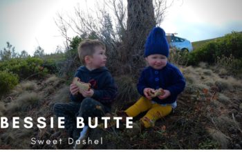 Bessie Butte Hike | Sweet Dashel