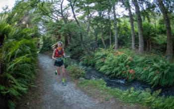 2020 Tarawera Ultramarathon Preview | My Picks to Win