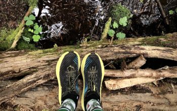 The Naturalist | Educate Your Way to Rich Running Experiences
