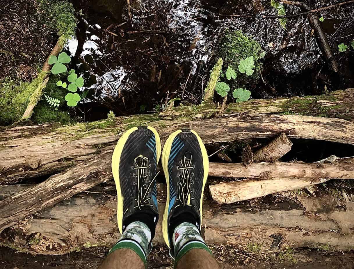 naturalist shoes